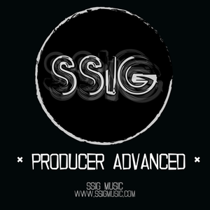 PRODUCER ADVANCED - MUSIC PRODUCTION COURSE 70H